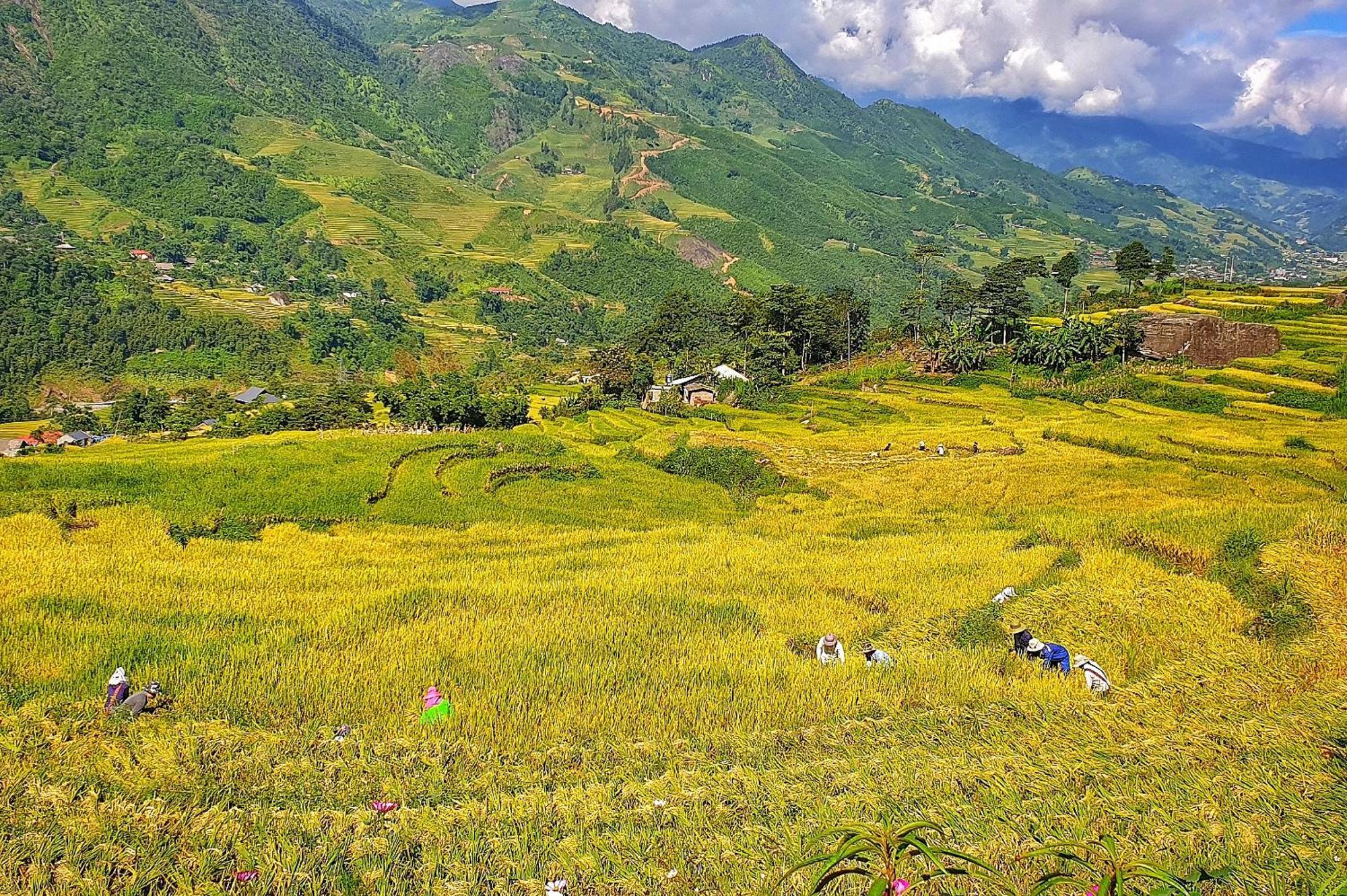 Peace Home Sapa Exterior foto